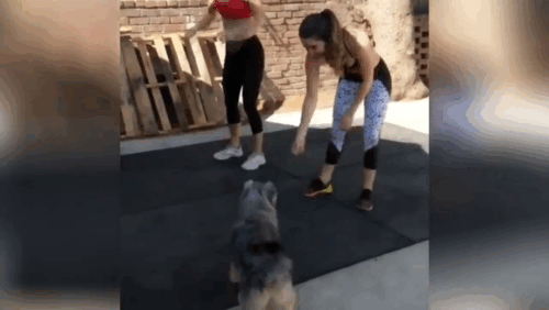 Материал взять из простора YouTube, с пометной свободное распространение.