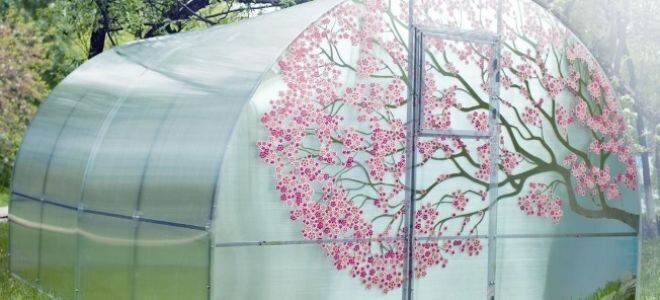 Фото взято с сайта nakrasku.ru