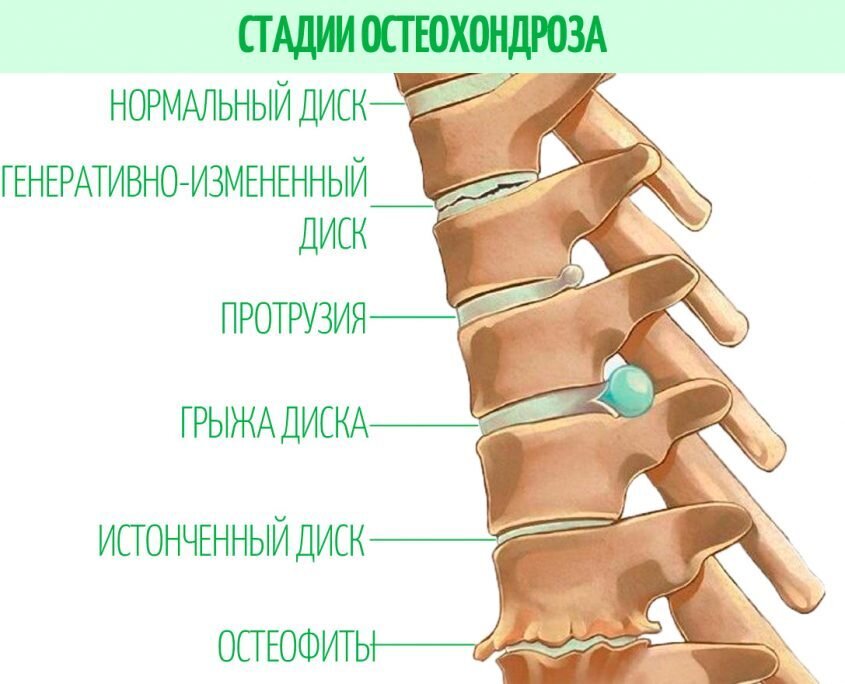Фото взято с сервиса Яндекс картинки