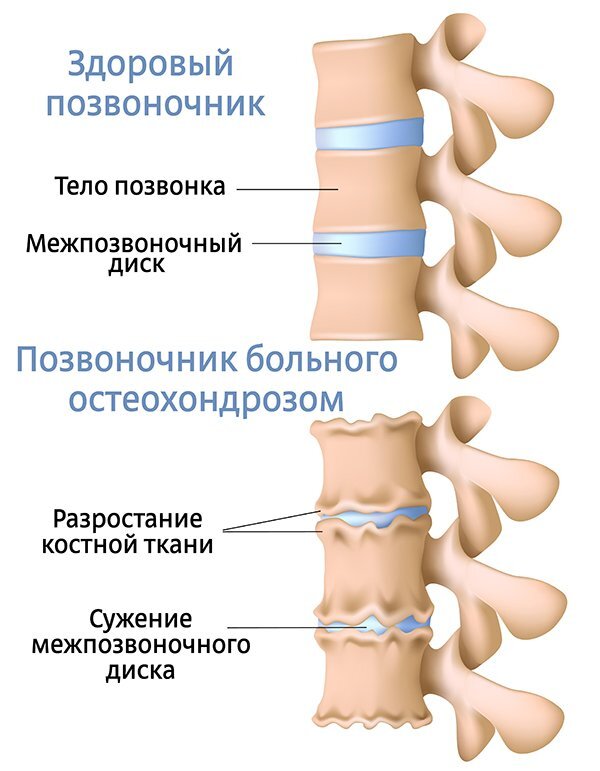 Изображение взято с сайта https://interesnyefakty.org