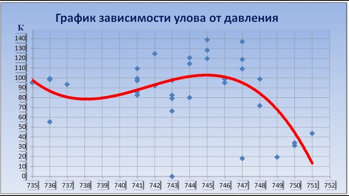 Фото взято из интернета