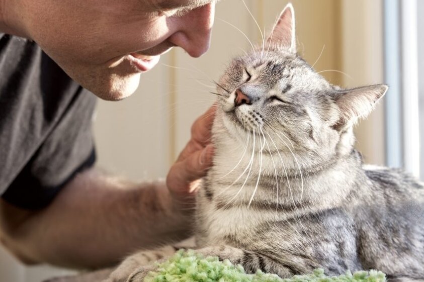 фото: Shutterstock