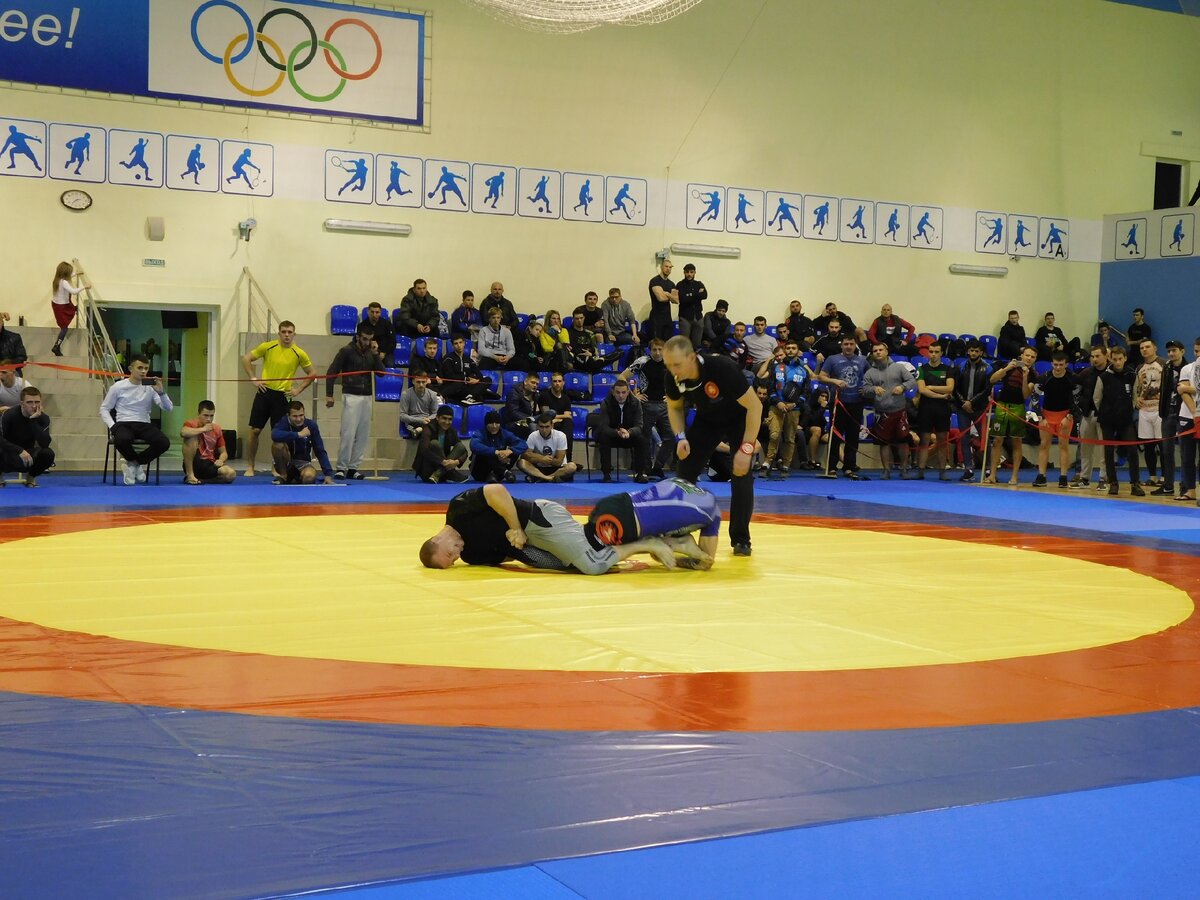 всемирный день единоборства. все боевые искусства. день единоборств. 12 день физкультурника бокс. дом спорта сталь брянск.