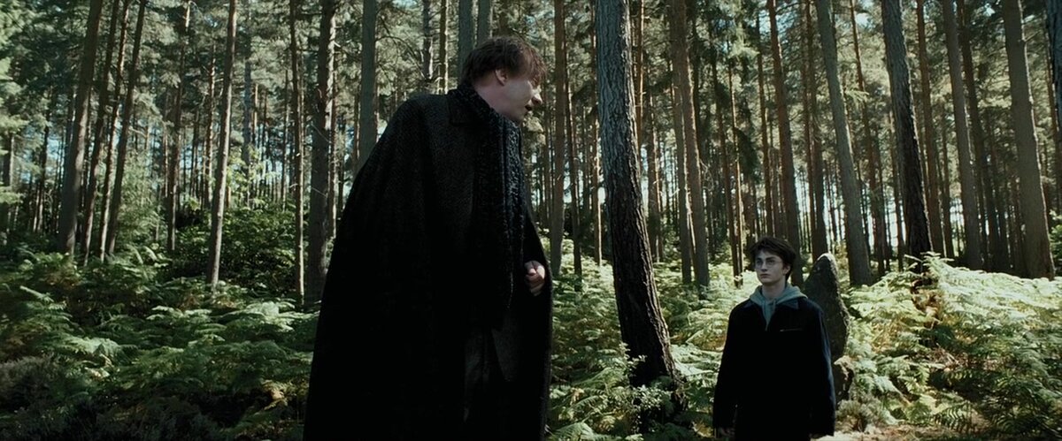 "Гарри Поттер и узник Азкабана"