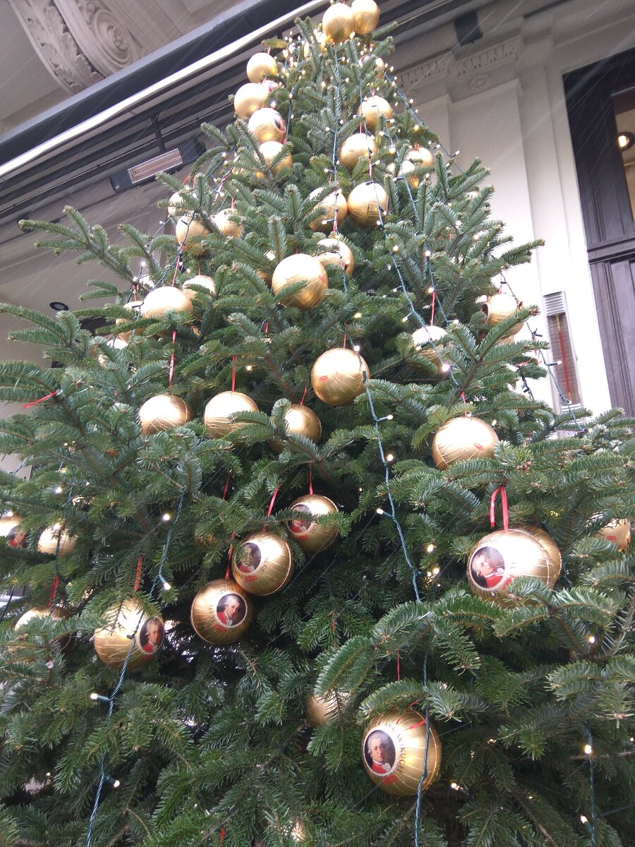 Новогодняя Вена 