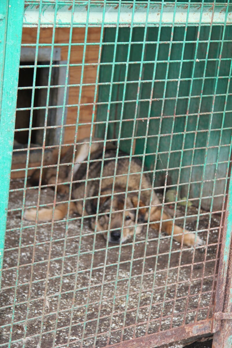 Казбек, приют солнцево