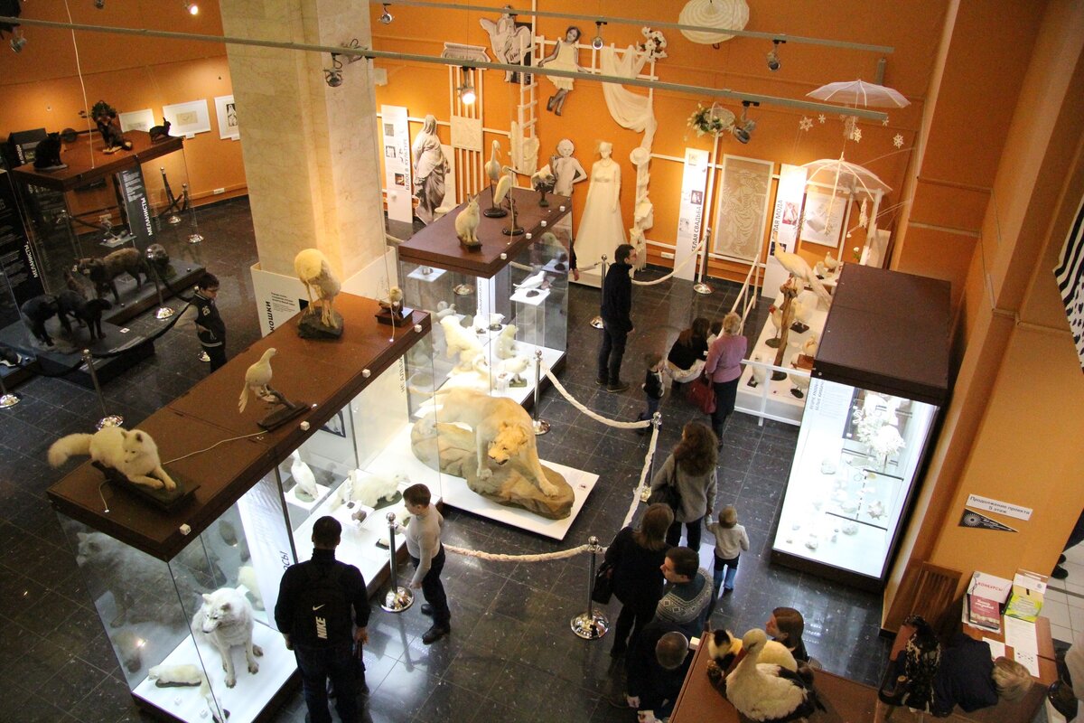 Музей Дарвина. Фото из личного архива.