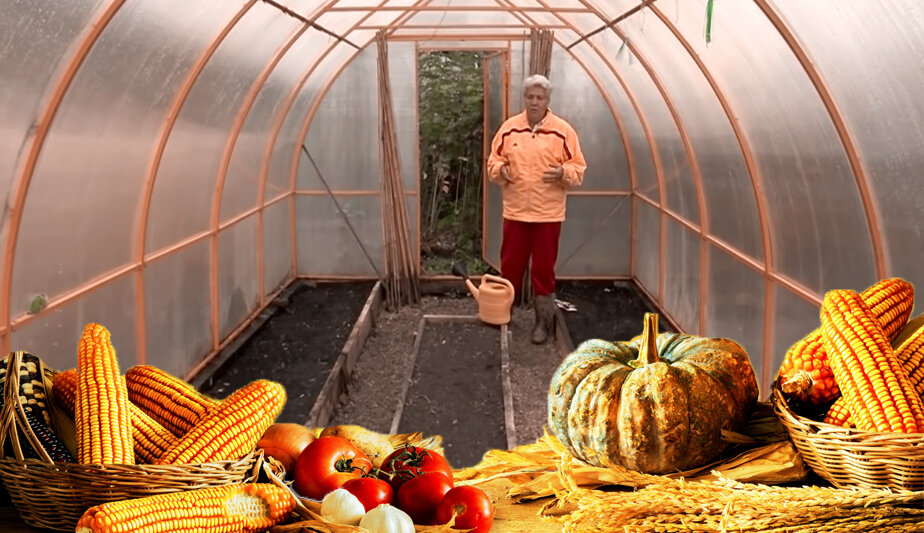 Готовим парник.