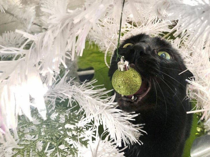 Кажется, не вкусная...