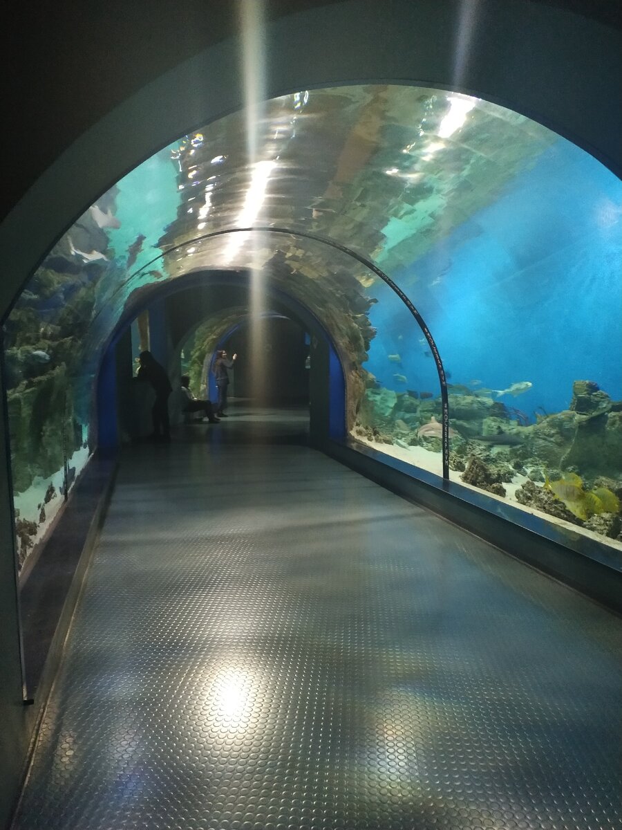 парк аквариум москва
