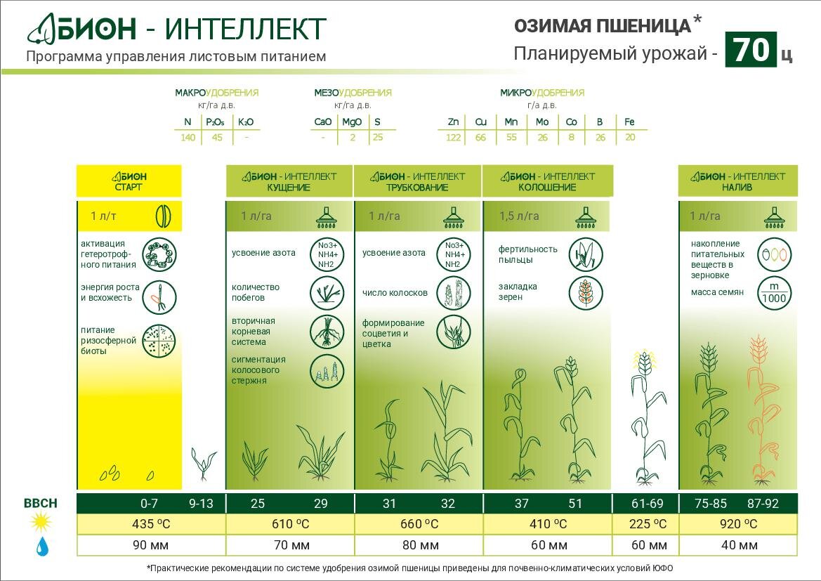 Отчет по озимой пшенице ООО 