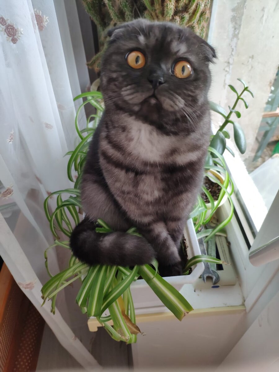 Фрося, пока никто не видит...