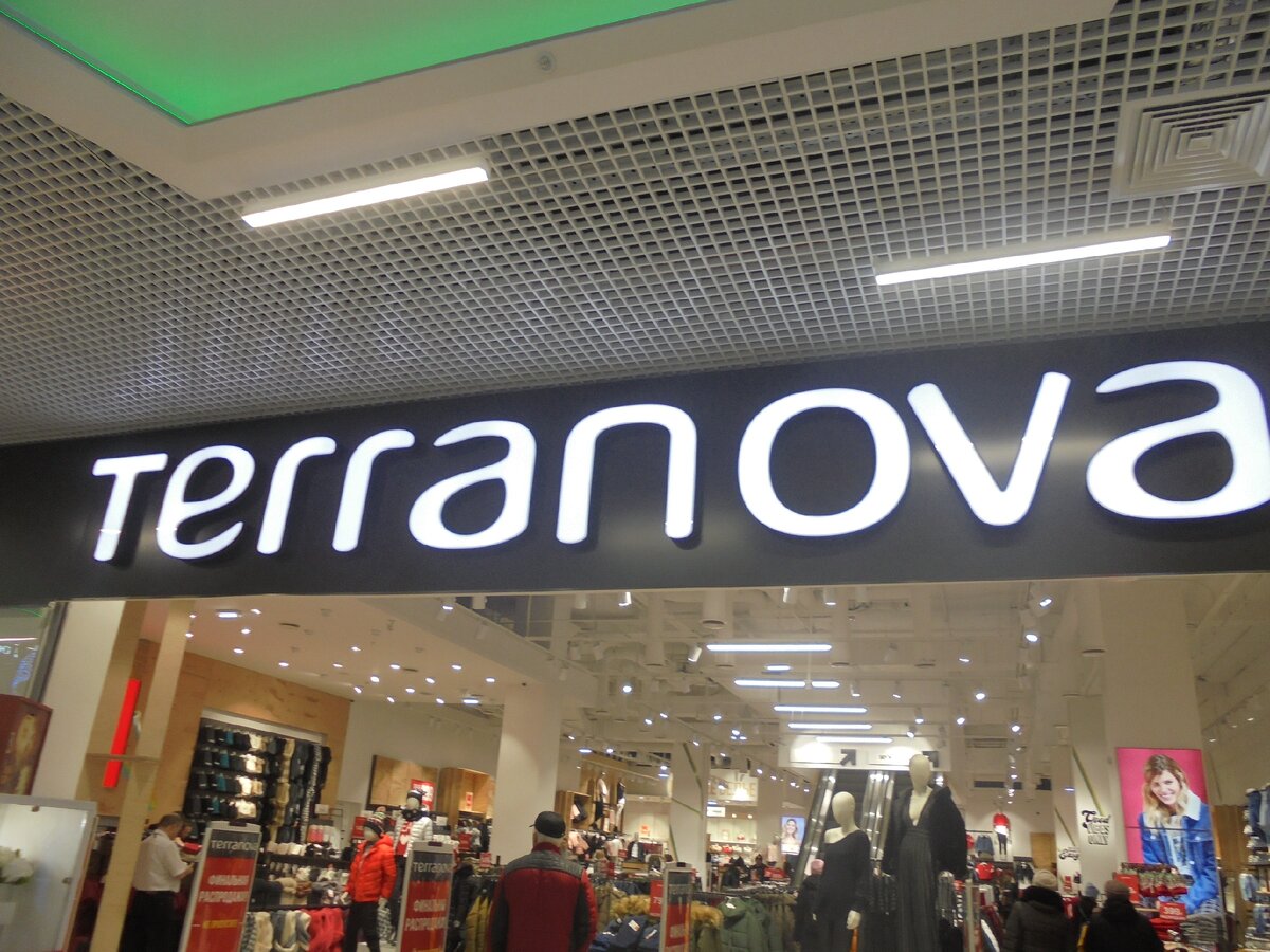 We terranova карта