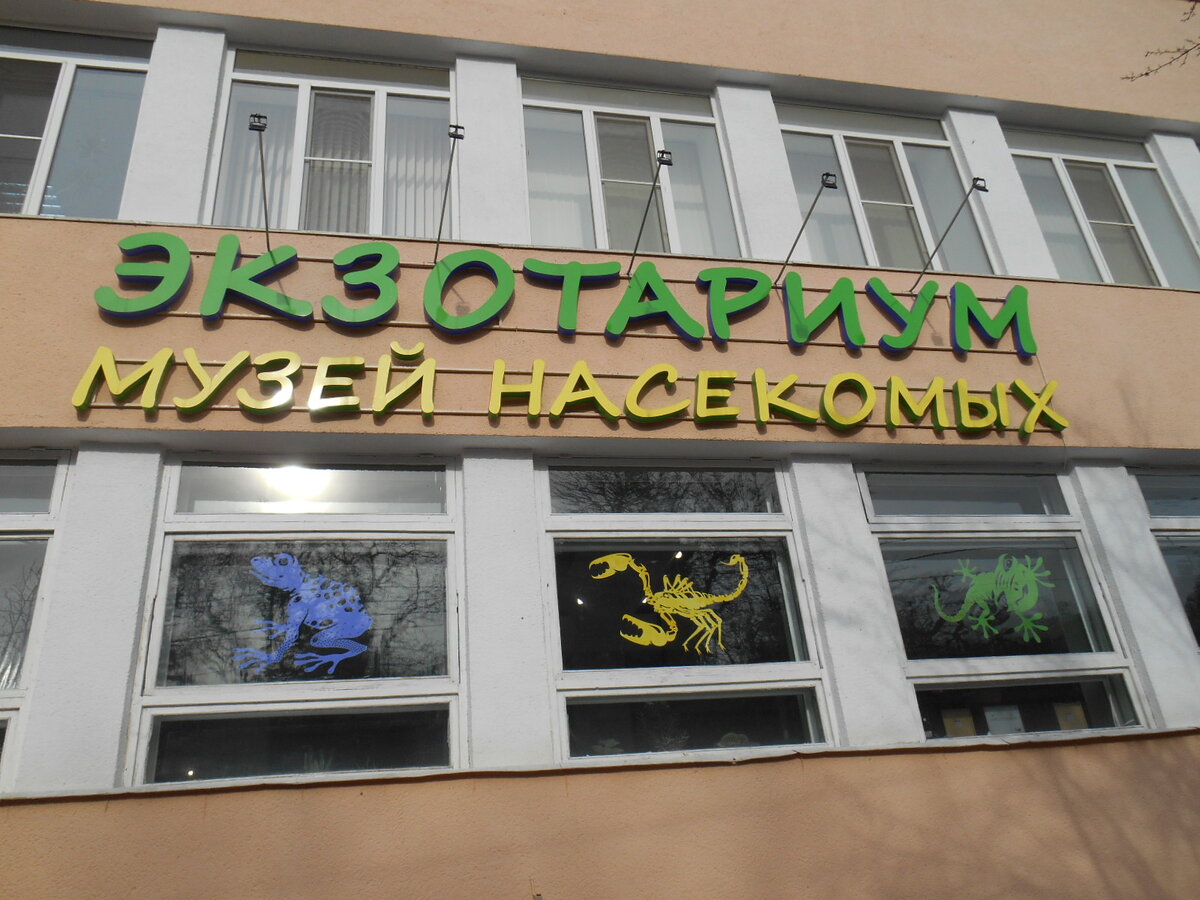 Это в Пятигорске напротив  театра оперетты.