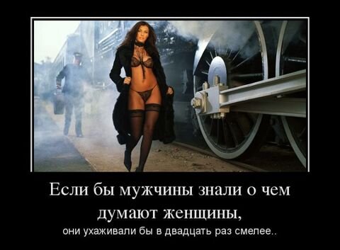 изображение из яндекс картинки.