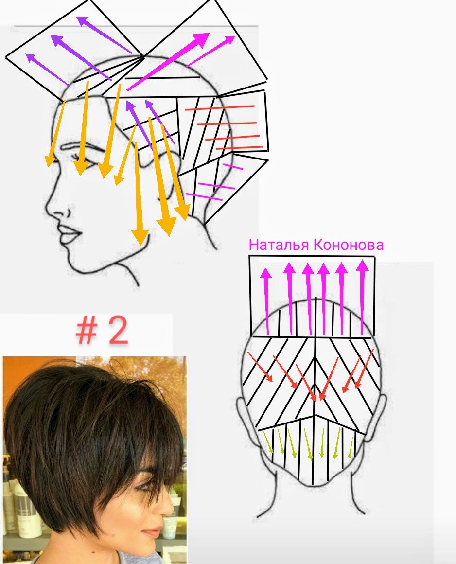Схемы стрижек для начинающих парикмахеров с описанием