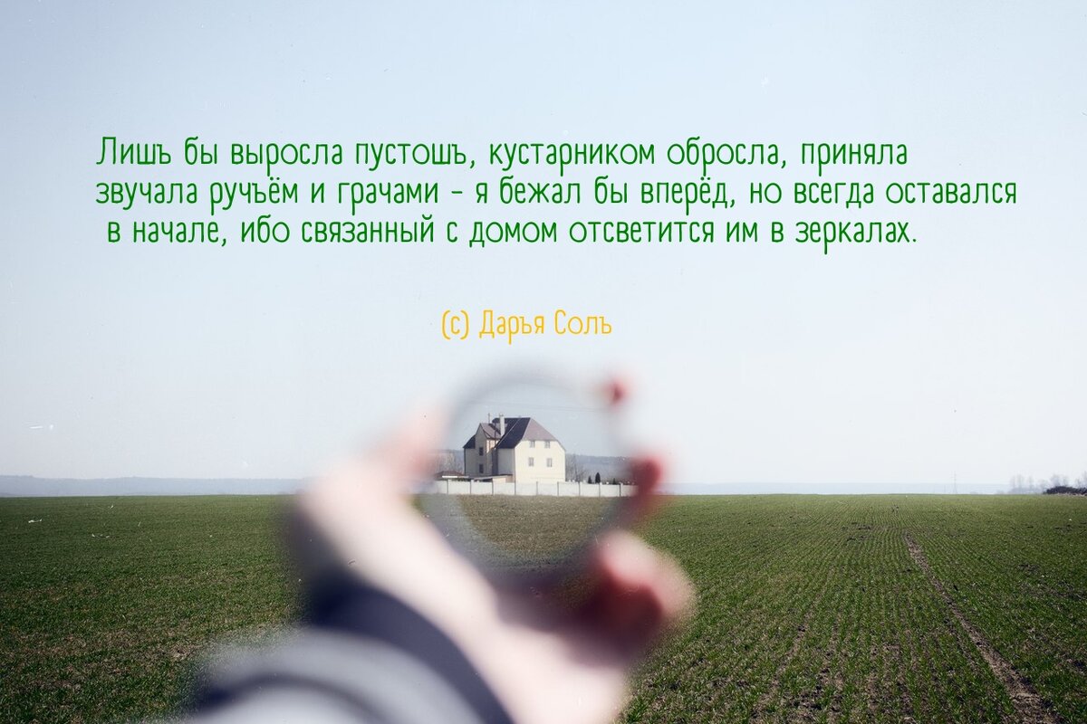 #стихи #поэзия #современная поэзия #дарьясоль #поэты 