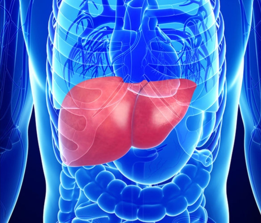 Источник: Яндекс Картинки.