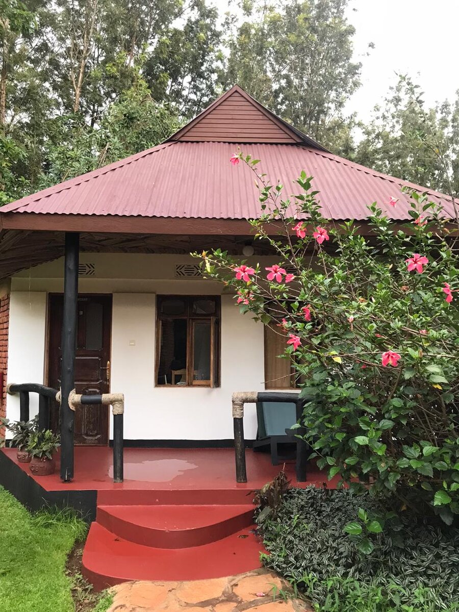 Наша гостиница (Bouganvillea Safari Lodge) рядом с национальными парками
