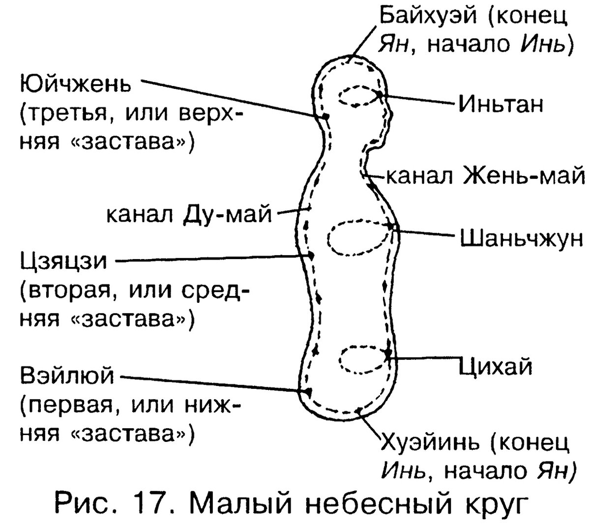 где находиться точка g картинки