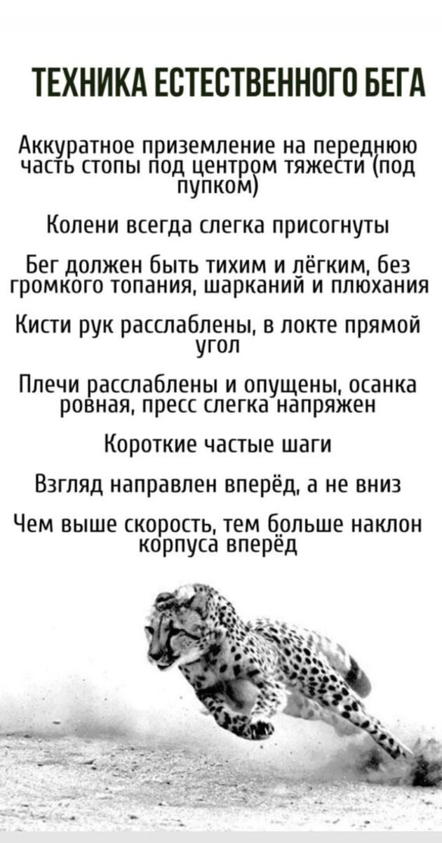 Правильная техника бега убережёт вас от проблем с суставами