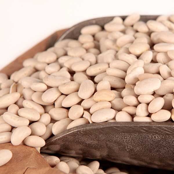 Great Northern Beans/фото из открытого источника