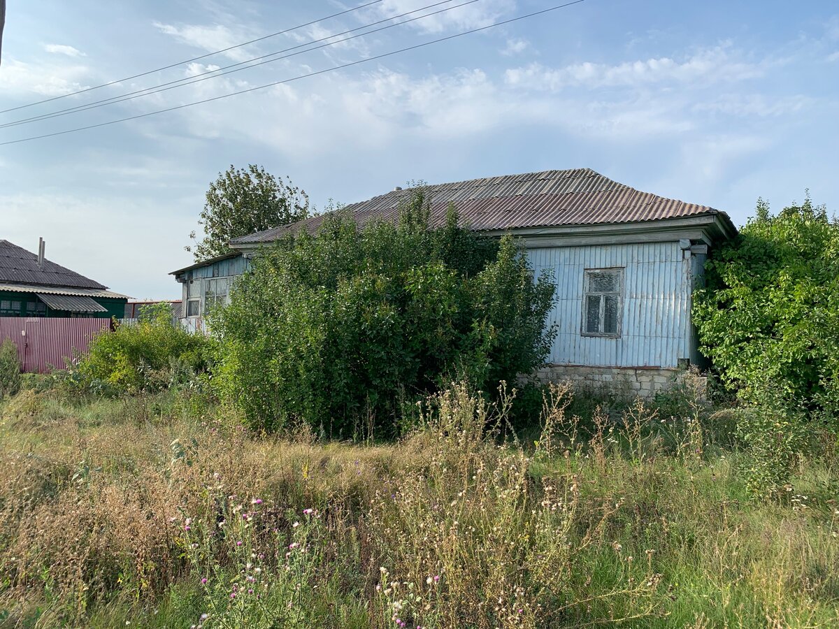 Если на Кубани продлят карантин, придётся возвращаться домой, в Питер. Деньги кончаются, выбора нет