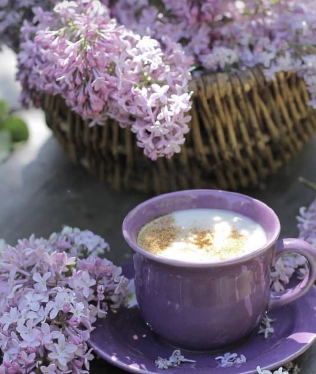 Загородная жизнь