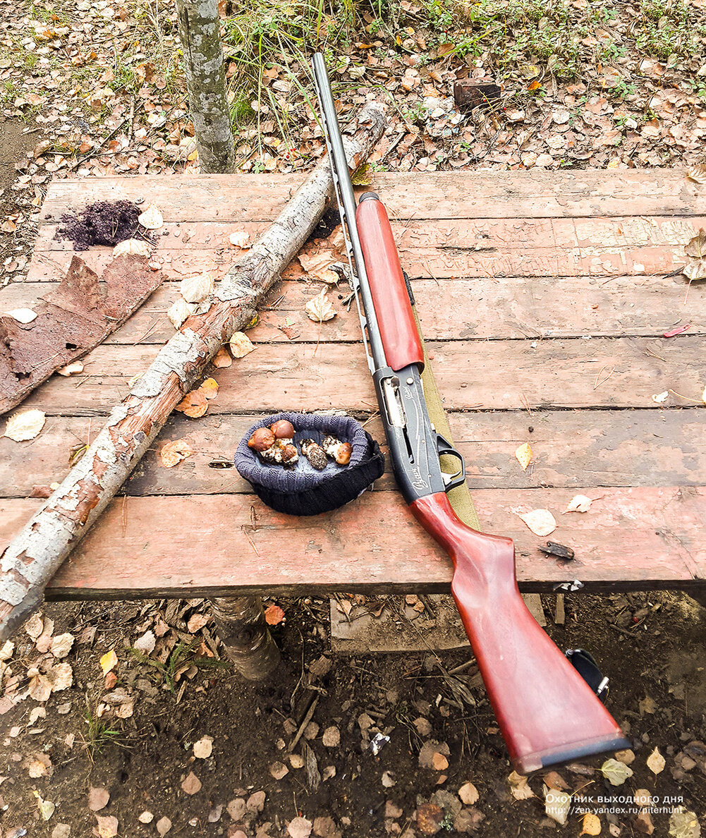 Осенняя охота — тихая и не очень...