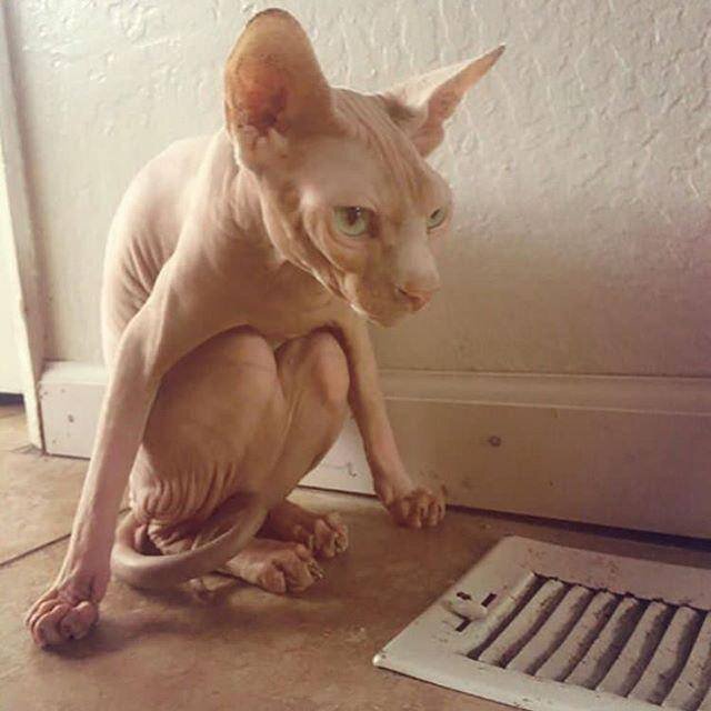 Открытые источники