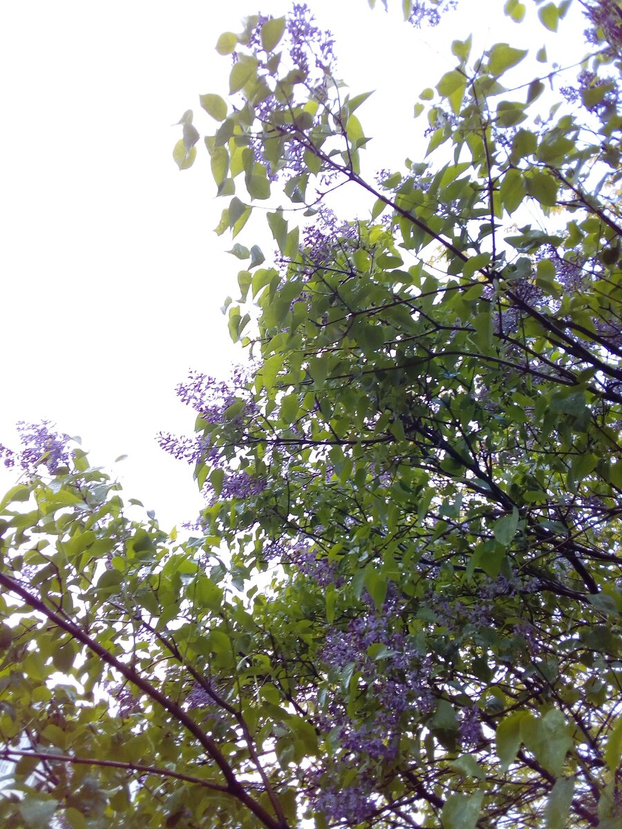 И весна вступает бурно в свой дневной круговорот!