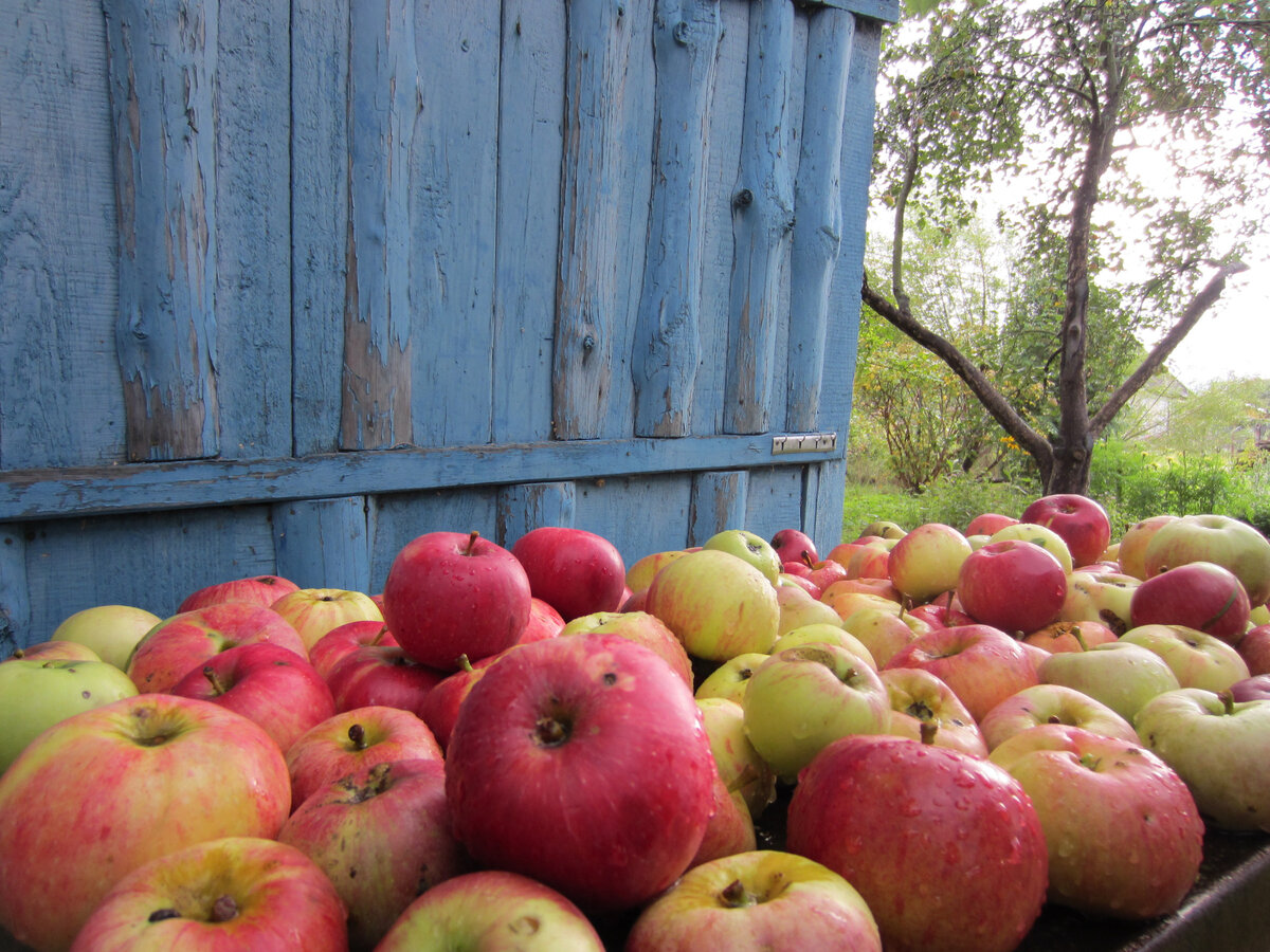Тот самый стол, то самое место, где мы тогда завтракали