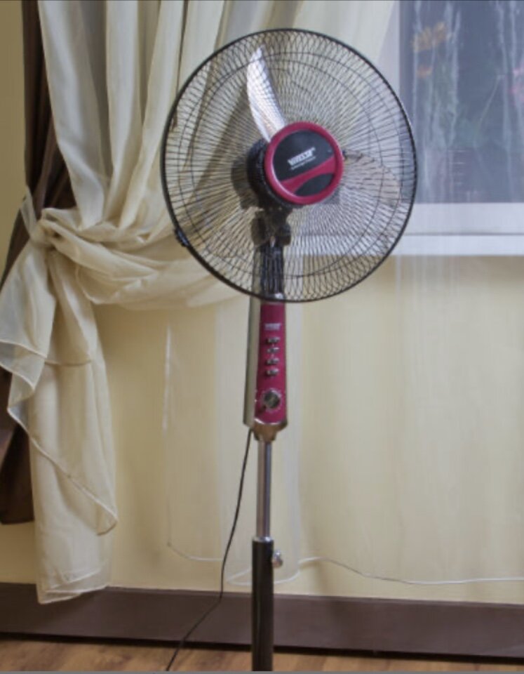 Фото взято из Интернета