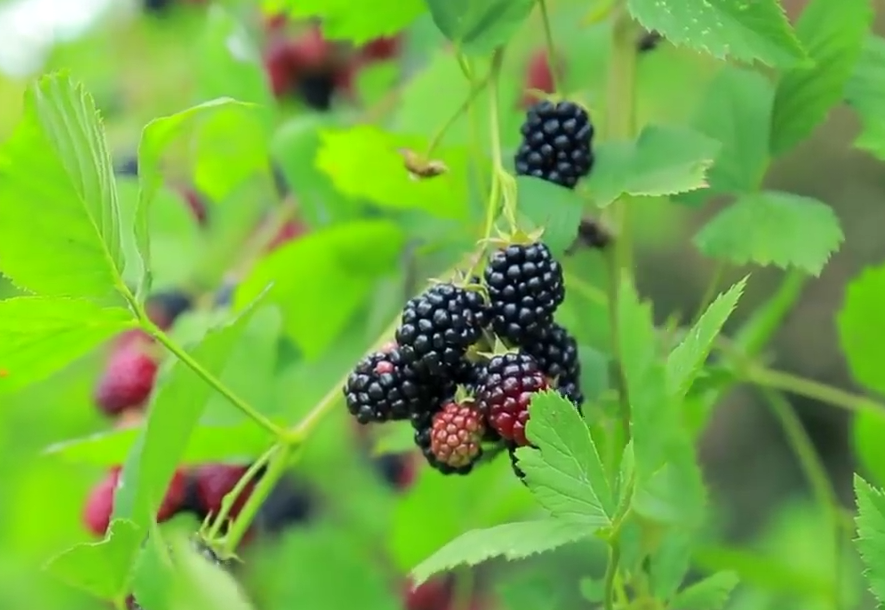 Фото из личного архива автора