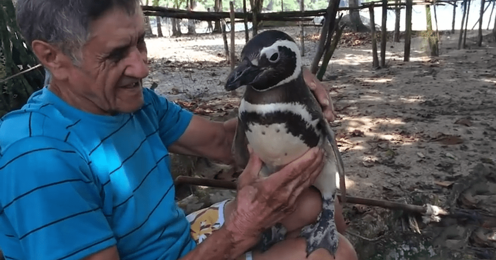 Фото взято в качестве иллюстрации 