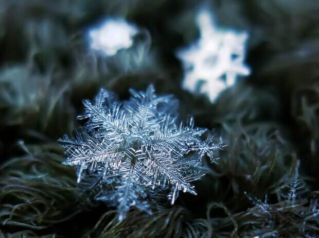 newart.mirtesen.ru