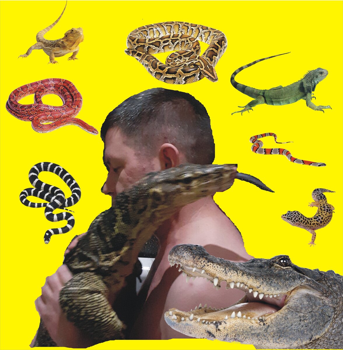 Сделал просто ради обложки