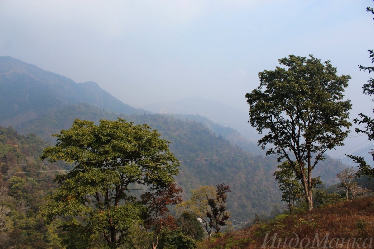 Гималаи. Уттаракханд. Ришикеш. Недалеко от палаточного лагеря. Фото автора.