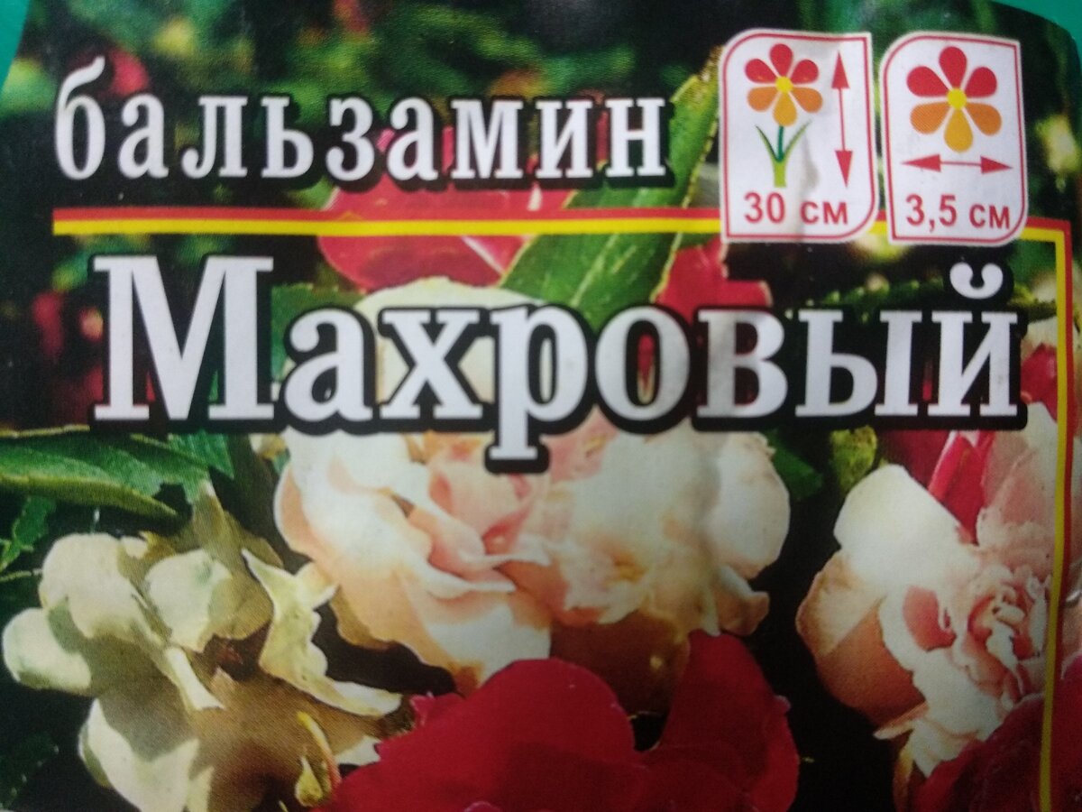 Семена, которые посеяла и жду махровых цветков