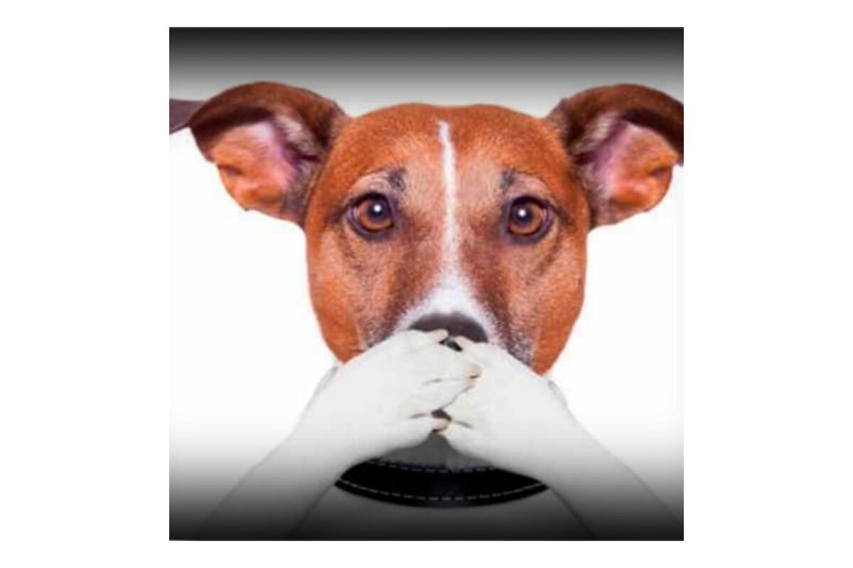 Картинка редактирования автором. 