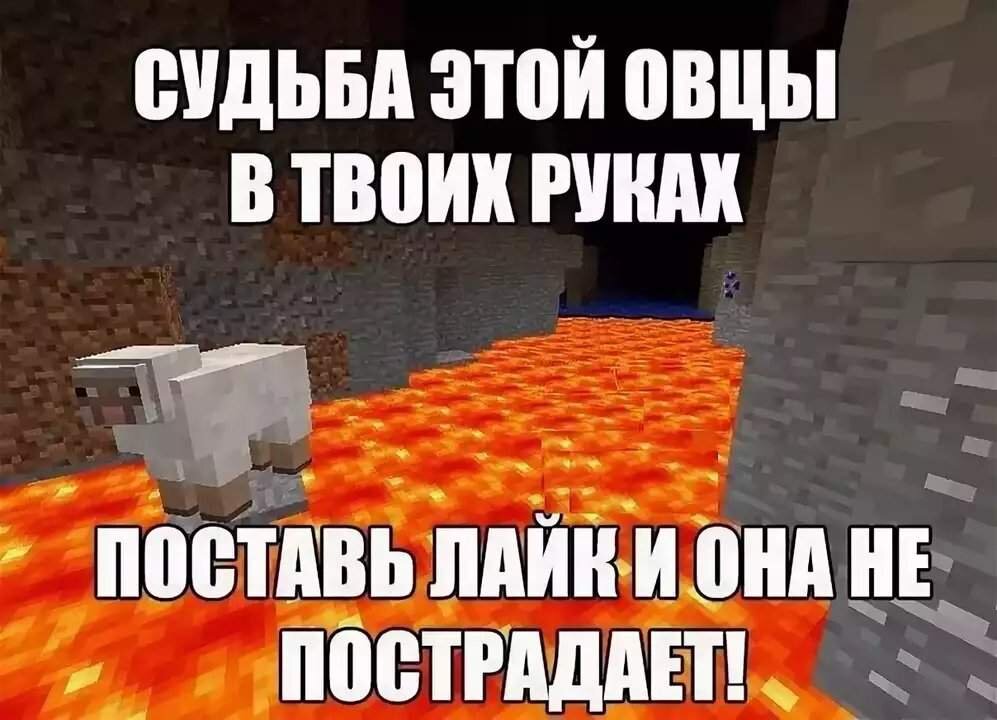 Смешные картинки майнкрафт без надписей