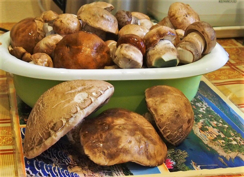 Фото Ирины Черпаковой