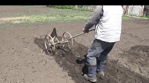 Видео-Фото: JJ Broch картофель уборка, посадка - ЧП АСТА