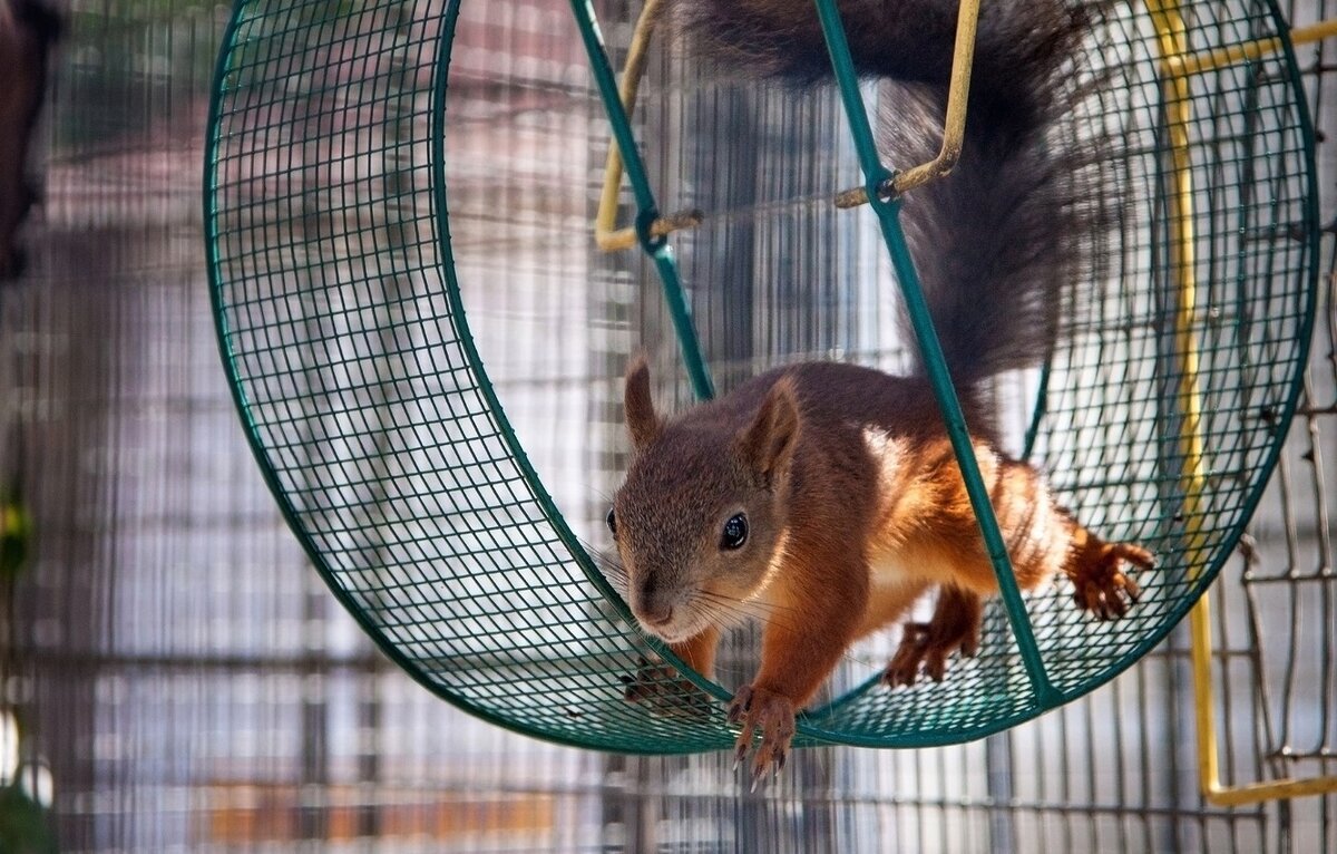 узнаешь себя?