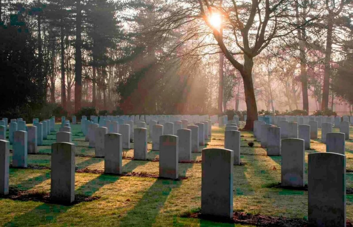 Картинка из интернета 