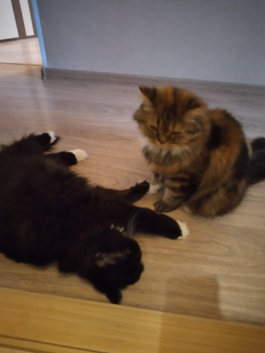 ну вы поняли