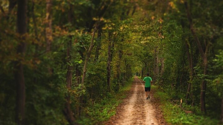 Бегать от армии может быть нецелесообразно. Фото: pixabay.com 