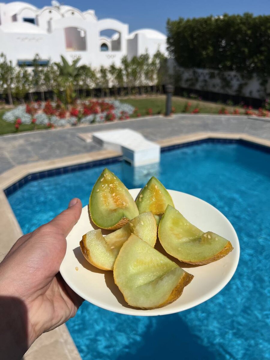 Маленькие дыни