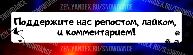 Мы все очень любим наших пушистых друзей. Но жизнь с кошкой имеет определенные сложности.  Царапание обоев и мебели, ранние побудки шерсть в доме...-9