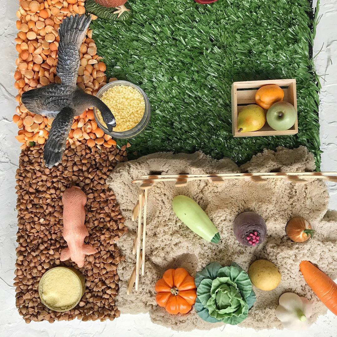 Сенсорное развитие детей